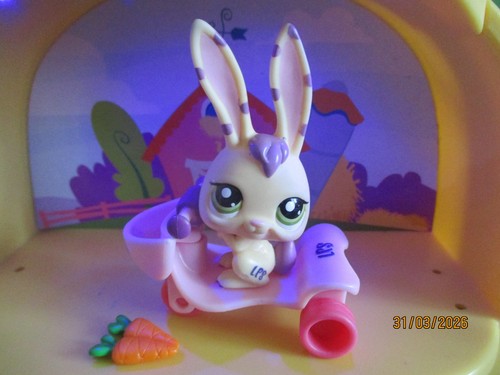 Petshop lapin 1845 - petshop, #1845