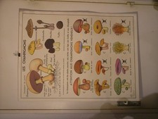 Affiche Scolaire, La Maison