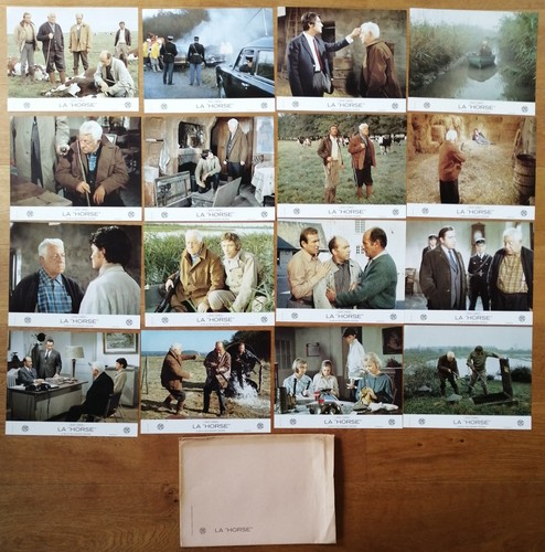 Horse jean gabin jeu photos - horse,