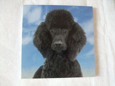 Carnet aimanté à feuilles -