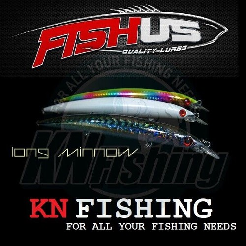 Leurres durs fishus long - durs,