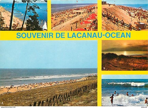 Carte postale lacanau - postale,
