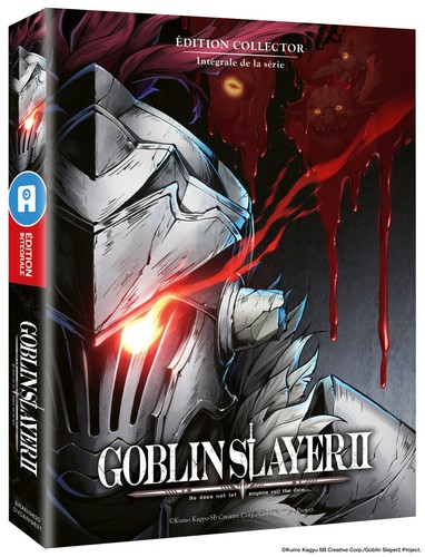 Goblin slayer saison - slayer, 2