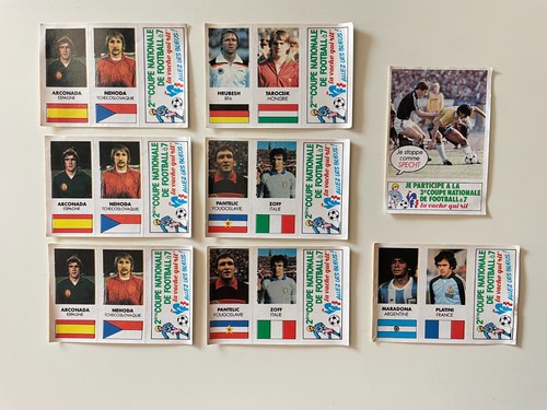 Lot images panini - panini, vache
