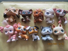 Lot 10 figurines Petshop / Lot