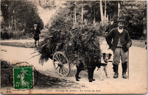 Loiret attelage de - -,