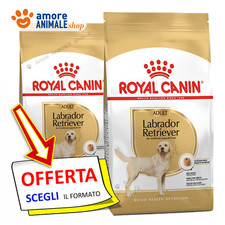 Royal Canin Chien → Adult