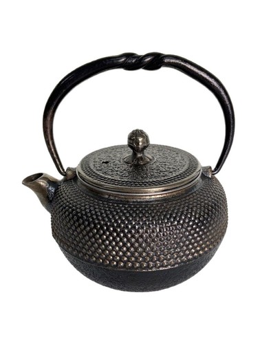 Kyusu japonais fonte nambu - kyusu, en