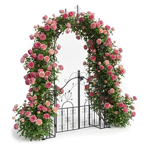 Arche roses jardin treillis - à,
