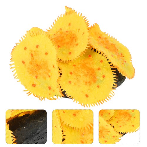 Aquarium accessoires - ,