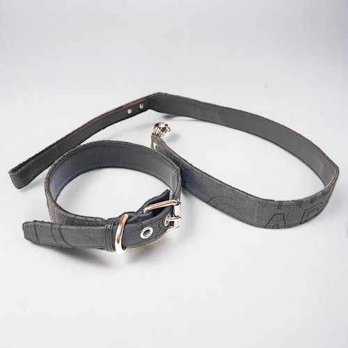 Ensemble collier pour chien