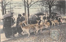 CPA 69 LYON LES BICHES AU PARC DE LA TETE D'OR