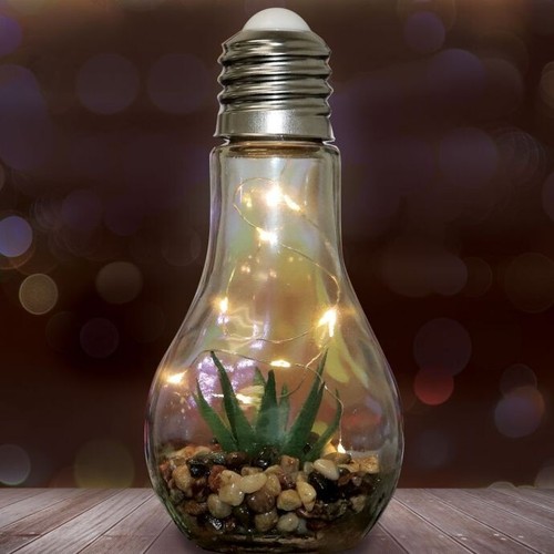 Aloe vera plant - glass, bulb