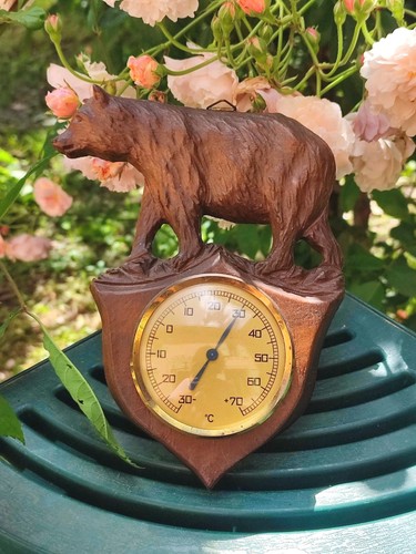 Ancien thermomètre décor - thermomÈtre,