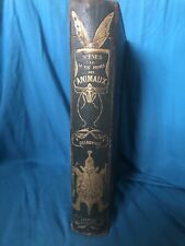 Grandville - Scenes de la vie