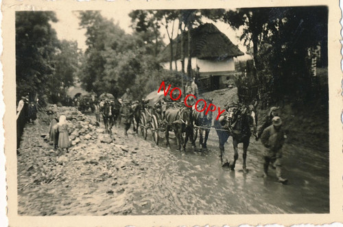 Photo antique wehrmacht - photo,