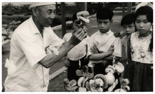 Japon, Ile de Benzaiten, Parc d'Ueno, fleurs de papier Photo prise par Henr
