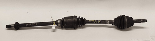 46307678 semialbéro ant - 46307678,