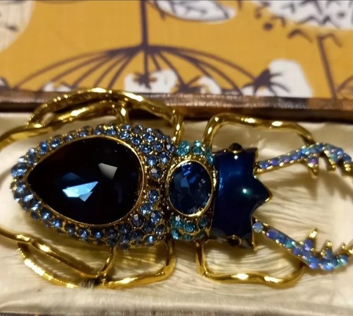 Broche insecte scarabée - insecte,
