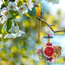  Perroquet Jouet Jouets
