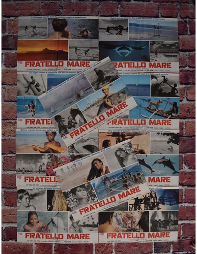 Photobustes fratello mare - photobustes,