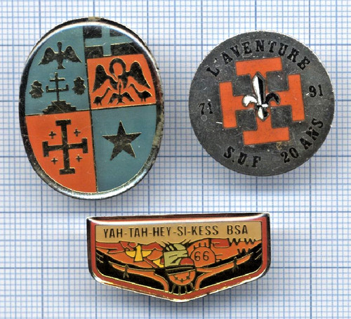 Lot pin scouting - lot, blasons