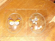 TAXIDERMIE PAPILLON SOUS CADRES VERRE BOMBÉ