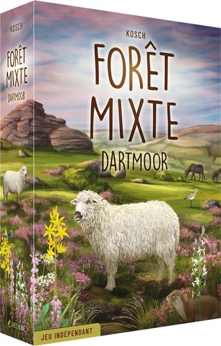 Forêt mixte dartmoor jeu - forêt,