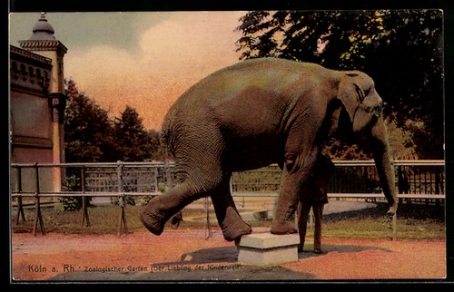 Carte postale cologne - postale, rh