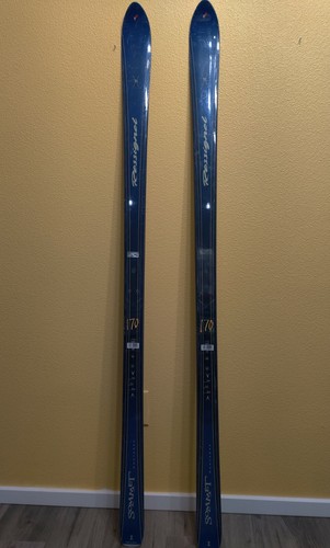 Rossignol sommet montagne - rossignol,
