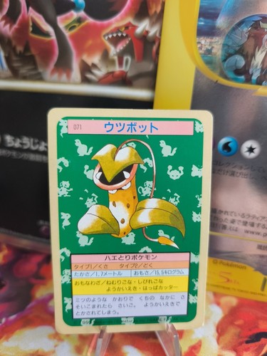 Carte pokemon card topsun 1995 - pokemon,