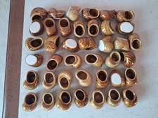 lot 40 coquilles d'escargots