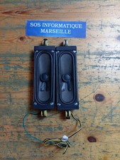 Haut-Parleurs D et G BN96-09463C 8Ω 10W TV Samsung LE40B620