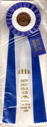 Kennel club south - club, jersey