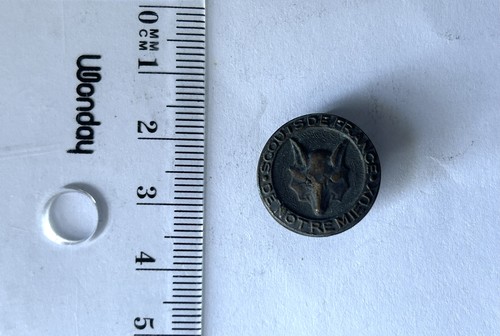 Insigne boutonnière scouts - insigne, de