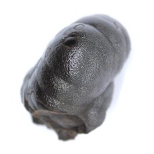 Hématite 160gr 55mm de Maroc