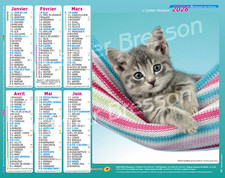 Calendrier ptt almanach la poste chats chatons 2026