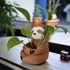 Support Plante Pot Succulent