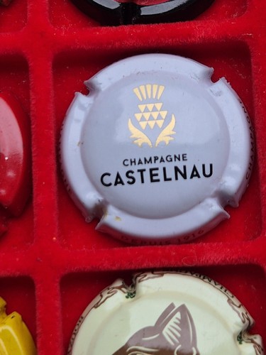 Nouvelle capsule champagne - nouvelle, de