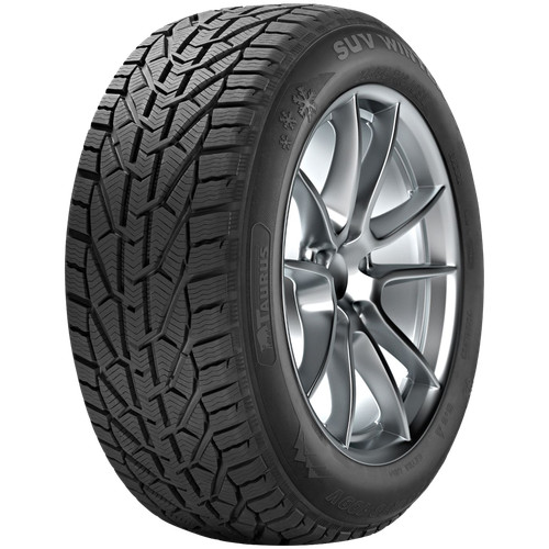 Taurus pneu hiver 225 - pneu, 17