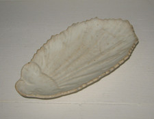 Ancien ravier coquille blanc