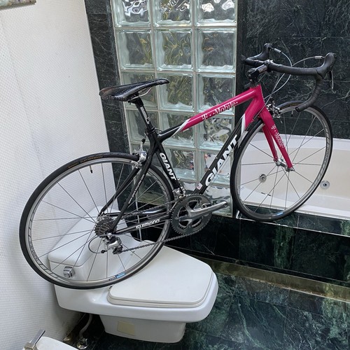 2005 giant tcr - giant,