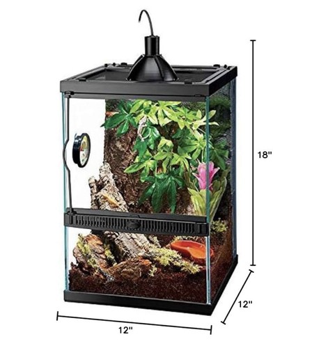 Terrarium gallon glass - terrarium,