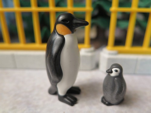 Pingouin son bébé - 1,
