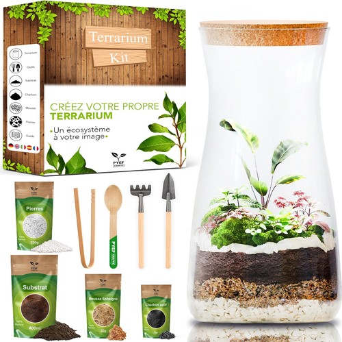Kit terrarium plante diy - plante,