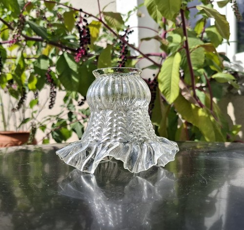 Tulipe verre transparent - tulipe,