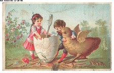 BR-BFP1-0453-CHROMOS - EUGENE GONTARD BOULOGNE Le déjeuner POUSSIN GEANT ET OEUF