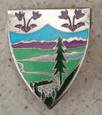 insigne émaillé - militaria