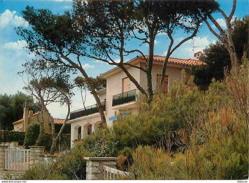Carte postale - 13,