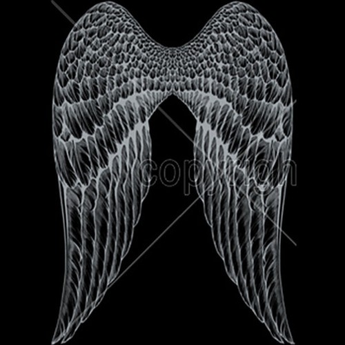Angel wings shirt choose - shirt,